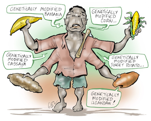 Genetically modified organisms