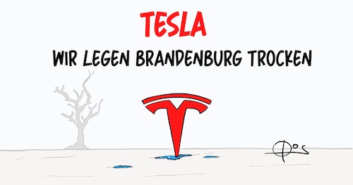 20220213-TeslaTrocknet