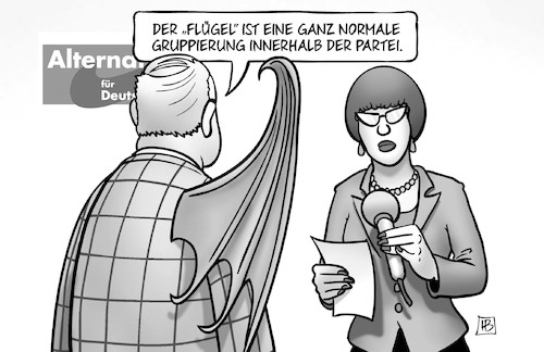 AfD-Flügel