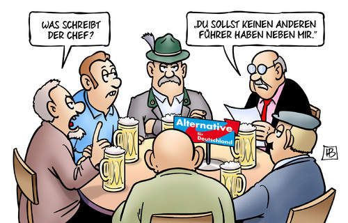 AFD-Fuehrer