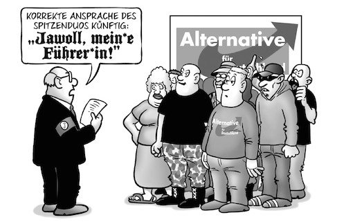 AfD-Spitzenduo