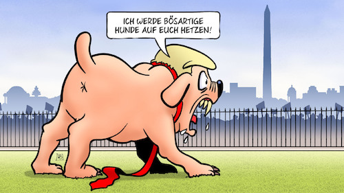 Cartoon: Bösartige Hunde (medium) by Harm Bengen tagged bösartige,hunde,washington,white,house,demonstrationen,trump,rassismus,usa,schwarz,weiss,tod,george,floyd,unruhen,proteste,harm,bengen,cartoon,karikatur,bösartige,hunde,washington,white,house,demonstrationen,trump,rassismus,usa,schwarz,weiss,tod,george,floyd,unruhen,proteste,harm,bengen,cartoon,karikatur