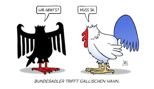 Cartoon: Bundesadler trifft gallischen Ha (medium) by Harm Bengen tagged bundesadler,gallischer,hahn,frankreich,regierung,sturz,kopflos,neuwahlen,harm,bengen,cartoon,karikatur,bundesadler,gallischer,hahn,frankreich,regierung,sturz,kopflos,neuwahlen,harm,bengen,cartoon,karikatur