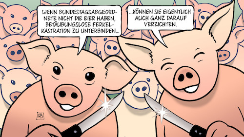 Bundestag und Ferkel