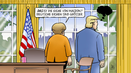 Cartoon: Deutsche Eiche (medium) by Harm Bengen tagged macron,deutsche,eichen,staatsbesuch,trump,usa,merkel,oval,office,harm,bengen,cartoon,karikatur,macron,deutsche,eichen,staatsbesuch,trump,usa,merkel,oval,office,harm,bengen,cartoon,karikatur