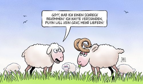 Cartoon: Graslieferung (medium) by Harm Bengen tagged schafe,schreck,putin,gas,gras,liefern,embargo,russland,ukraine,krieg,harm,bengen,cartoon,karikatur,schafe,schreck,putin,gas,gras,liefern,embargo,russland,ukraine,krieg,harm,bengen,cartoon,karikatur