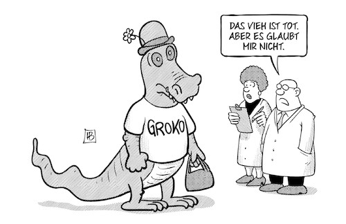 Groko-Diagnose