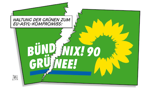 Grüne und Asyl