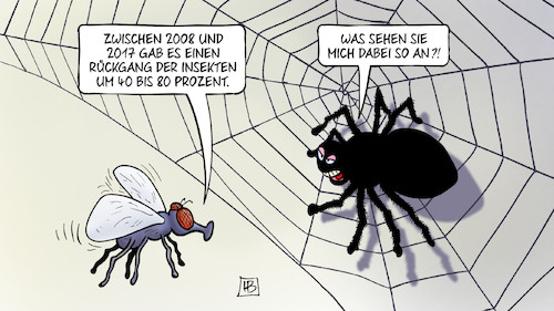 Cartoon: Insektenrückgang (medium) by Harm Bengen tagged insektenrückgang,rückgang,insektensterben,fliege,spinne,landwirtschaft,harm,bengen,cartoon,karikatur,insektenrückgang,rückgang,insektensterben,fliege,spinne,landwirtschaft,harm,bengen,cartoon,karikatur