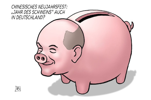 Jahr des Schweins