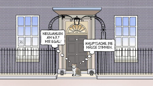 Cartoon: Neuwahlen UK (medium) by Harm Bengen tagged neuwahlen,chief,mouser,katze,kater,larry,downing,street,regierung,uk,gb,wahl,sunak,harm,bengen,cartoon,karikatur,neuwahlen,chief,mouser,katze,kater,larry,downing,street,regierung,uk,gb,wahl,sunak,harm,bengen,cartoon,karikatur