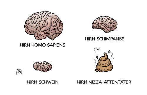 Cartoon: Nizza-Attentäter (medium) by Harm Bengen tagged hirn,homo,sapiens,schimpanse,schwein,nizza,attentäter,anschlag,terror,frankreich,lkw,mord,harm,bengen,cartoon,karikatur,hirn,homo,sapiens,schimpanse,schwein,nizza,attentäter,anschlag,terror,frankreich,lkw,mord,harm,bengen,cartoon,karikatur