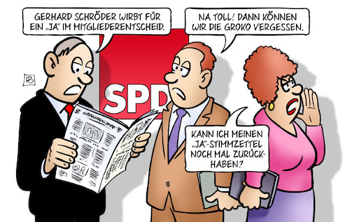 Schröder für Groko