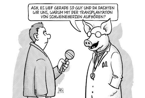 Schweineherzen