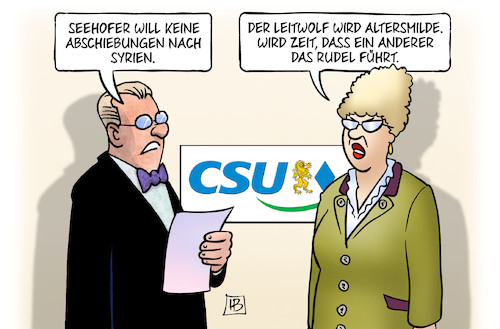 Seehofer und Syrien