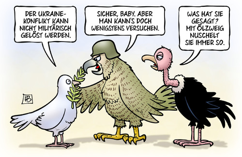 Taube-Falke-Geier