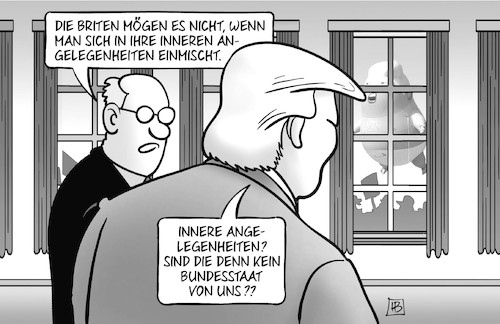 Trump-Einmischung