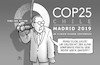 COP 25