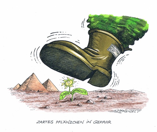 Cartoon: Ägyptische Demokratie in Gefahr (medium) by mandzel tagged militärstiefel,zarte,pflänzchen,demokratie,ägypten,zarte,pflänzchen,demokratie,ägypten