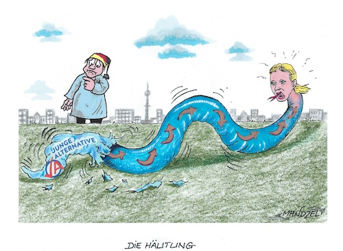 Cartoon: Die AfD häutet sich (medium) by mandzel tagged afd,deutschland,jugendorganisation,trennung,afd,deutschland,jugendorganisation,trennung