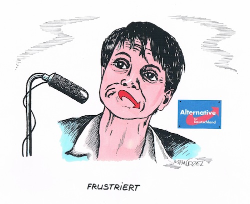 Frustrierte Petry