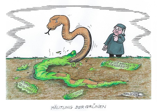 Grundsätze der Grünen