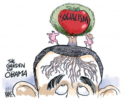 socialism By barbeefish | Politics Cartoon | TOONPOOL
