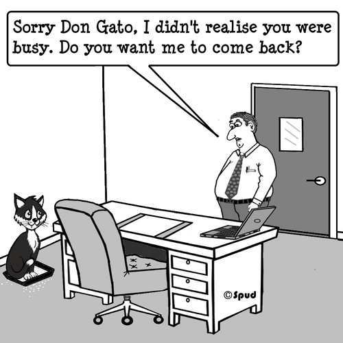 Cartoon: Don Gato 4 (medium) by cartoonsbyspud tagged cartoon,spud,hr,recruitment,office,life,outsourced,marketing,it,finance,business,paul,taylor