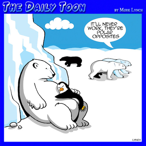 Polar Plunge Cartoons And Comics Funny Pictures From, 46% OFF