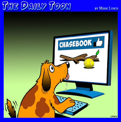 Chasebook