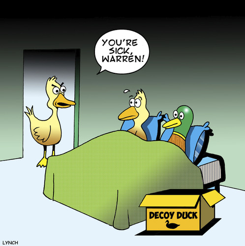 Decoy duck By toons Love Cartoon TOONPOOL 