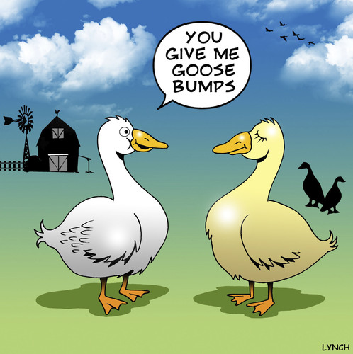 cartoon goose