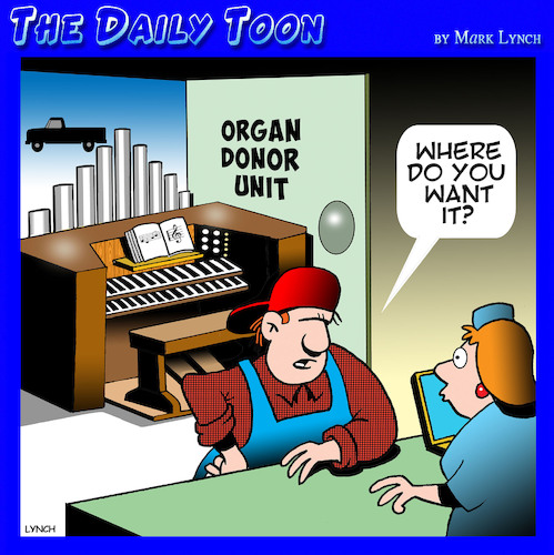 Organ donor