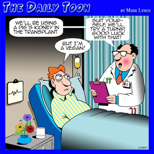 kidney transplant cartoon