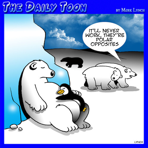 Cartoon: Polar opposites (medium) by toons tagged polar,bears,penguins,opposite,animals,opposites,attract,north,pole,south,polar,bears,penguins,opposite,animals,opposites,attract,north,pole,south