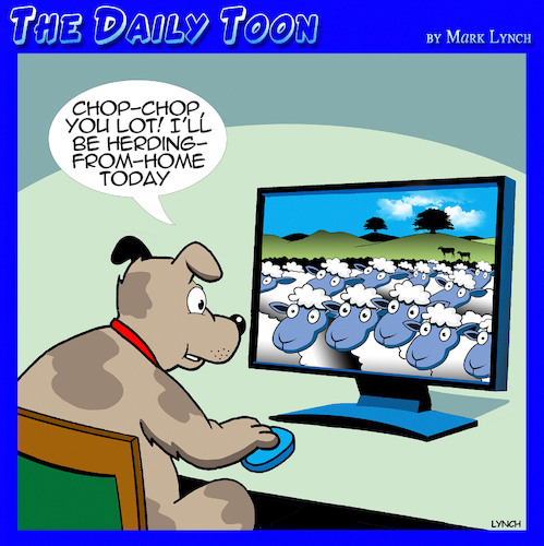 Cartoon: Work from home (medium) by toons tagged working,from,home,sheepdogs,herding,sheepdog,working,from,home,sheepdogs,herding,sheepdog