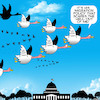 Cartoon: Migration policy (small) by toons tagged geese donald trump migrationary birds white house fake news flying in formation