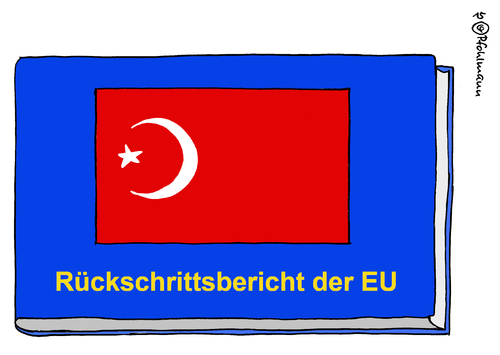 Rückschrittsbericht