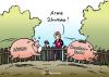 Arme Schweine