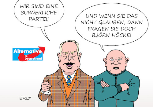 AfD-Beweis