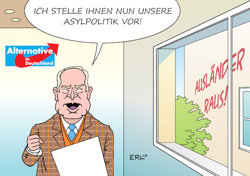 AfD Asylpolitik