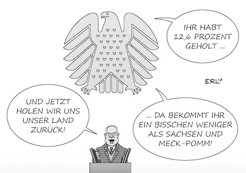 AfD Bundestag I