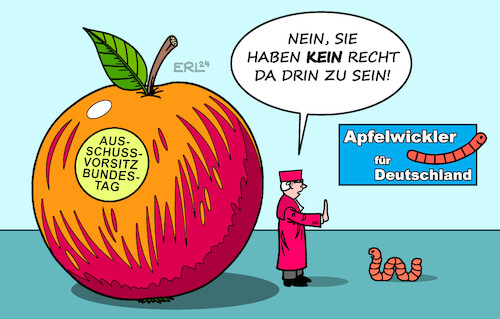 AfD Urteil