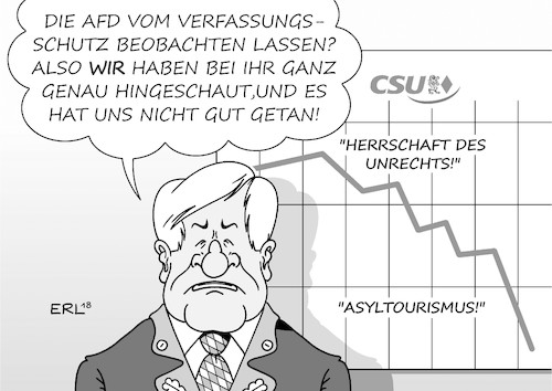 AfD Verfassungsschutz