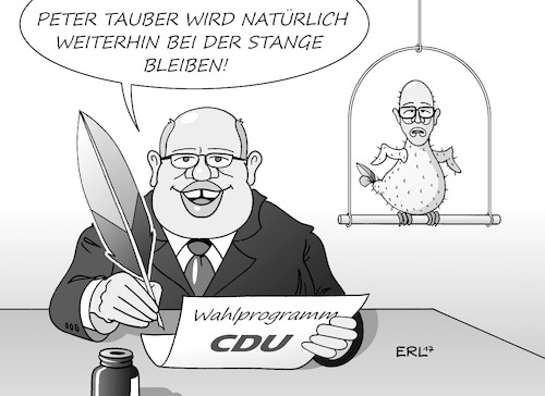 Altmaier federführend