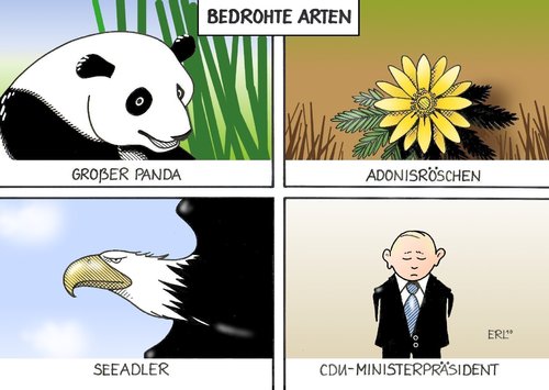 Cartoon: Bedrohte Arten (medium) by Erl tagged ole,von,beust,cdu,ministerpräsident,hamburg,rücktritt,althaus,oettinger,rüttgers,koch,wulff,bundeskanzlerin,merkel,ole von beust,cdu,ministerpräsident,hamburg,rücktritt,althaus,oettinger,rüttgers,koch,bundeskanzlerin,wulff,merkel,ole,von,beust