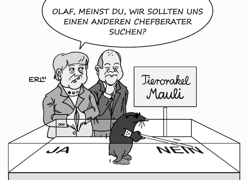 Chefberater der Regierung