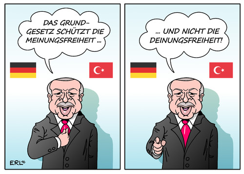 Erdogan Grundgesetz