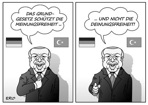 Erdogan Grundgesetz