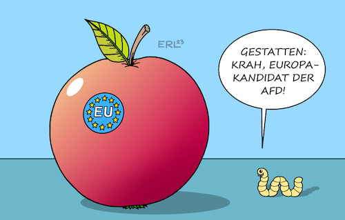 Cartoon: Europakandidat (medium) by Erl tagged politik,partei,afd,rechtsextremismus,rechtspopulismus,parteitag,europawahl,spitzenkandidat,europakandidat,maximilian,krah,apfelwickler,wurm,apfel,eu,rechtsextremist,flügel,karikatur,erl,politik,partei,afd,rechtsextremismus,rechtspopulismus,parteitag,europawahl,spitzenkandidat,europakandidat,maximilian,krah,apfelwickler,wurm,apfel,eu,rechtsextremist,flügel,karikatur,erl